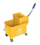 Image of Mop Wringers And Buckets