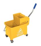 Image of Mop Wringers & Buckets