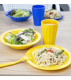 Image of Polypropylene & Melamine