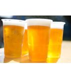 Image of Plastic Beer Glasses & Tankards