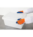 Image of Freezer Gloves