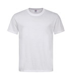 Image of Plain T-Shirts