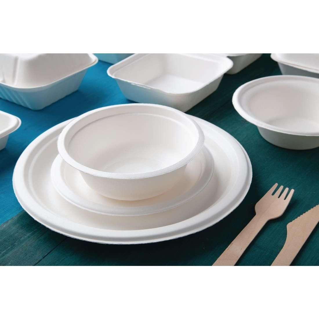 Image of Disposable Plates & Bowls