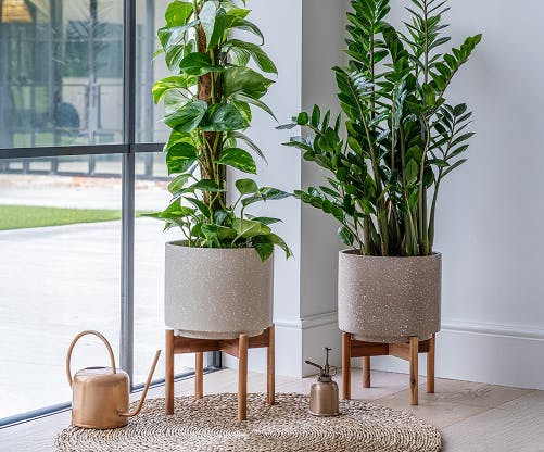 Image of Artificial Plants