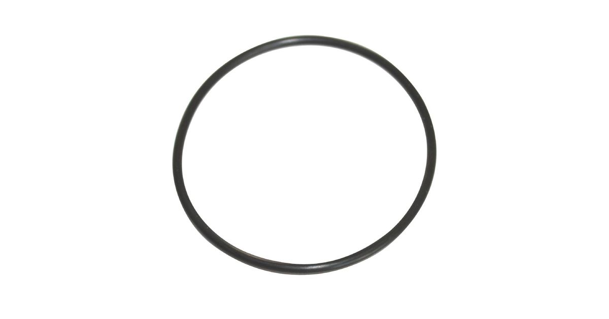 Santos N173 O'Ring Seal | Catering Appliance Superstore