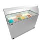 Tefcold IC400SC+CANOPY