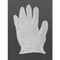 Y247-L Powder-Free Vinyl Gloves Clear Large (Pack of 100)