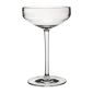 Eden FJ602 Polycarbonate Coupe Glasses 280ml (Pack of 12)