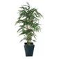 CC576 Natural Bamboo 1800mm