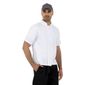 Whites BA113