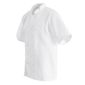 Whites B250-L