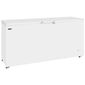 GM600 567 Ltr White Chest Freezer