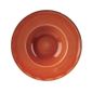 DF795 Round Wide Rim Bowls Spiced Orange 239mm (Pack of 12)