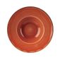 DF795 Round Wide Rim Bowl Spiced Orange 239mm (Pack of 12)