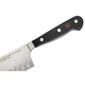 Wusthof Knives DN913