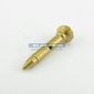 026134 Pilot Injector 0.3mm Nat