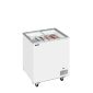 Tefcold IC201SC