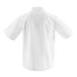 Whites DL711-S