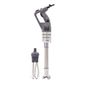 Robot Coupe CMP 300 Combi