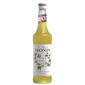 CF713 Passion Fruit Syrup 700ml