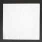 Fiesta Recyclable FE235