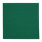 Fiesta Recyclable FE239