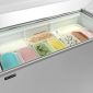 Tefcold IC500SCE+CANOPY