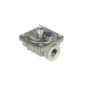 PG10 Pressure Governor for Cooking Equipment