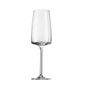 Sensa FD298 Champagne Flutes 388ml (Pack of 6)