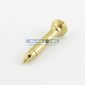026136 Pilot Injector LPG