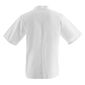 Whites B250-L