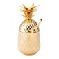 Hawaii DA137 Cocktail Container Pineapple Gold 570ml
