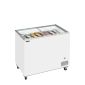 Tefcold IC302SC