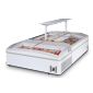 Tefcold SUPER200HCDE