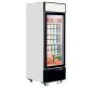 LGF2500 496 Ltr Upright Single Glass Door White Display Freezer With Canopy