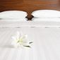 Satin HB605 Oxford Pillowcase Oatmeal (Pack of 2)