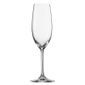 GL137 Ivento Champagne flute 230ml (Pack of 6)