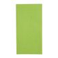 Fiesta Recyclable FE228