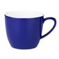 DE609 Colour Rim Melamine Mugs Blue 285ml (Pack of 6)