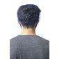 Lion Haircare A291