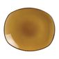 Terramesa Mustard V7137 Spice Plates 255mm (Pack of 24)