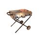 ZENITH4GAS Foldable Propane Gas Barbecue Grill