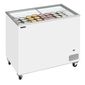 Tefcold IC300SC