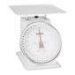 F175 Platform Scale 20kg