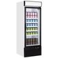 Tefcold NF2500G