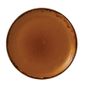 FC016 Harvest Evolve Coupe Plates Brown 217mm (Pack of 12)