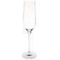 CS496 Claro One Piece Crystal Champagne Flute 260ml (Pack of 6)