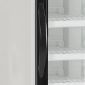 Tefcold NF2500G