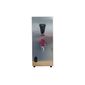 Sureflow CTS10 (1500 POU) 10 Ltr Countertop Automatic Water Boiler with Filtration - Graded
