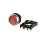 776-029-00 Momentary Push Button